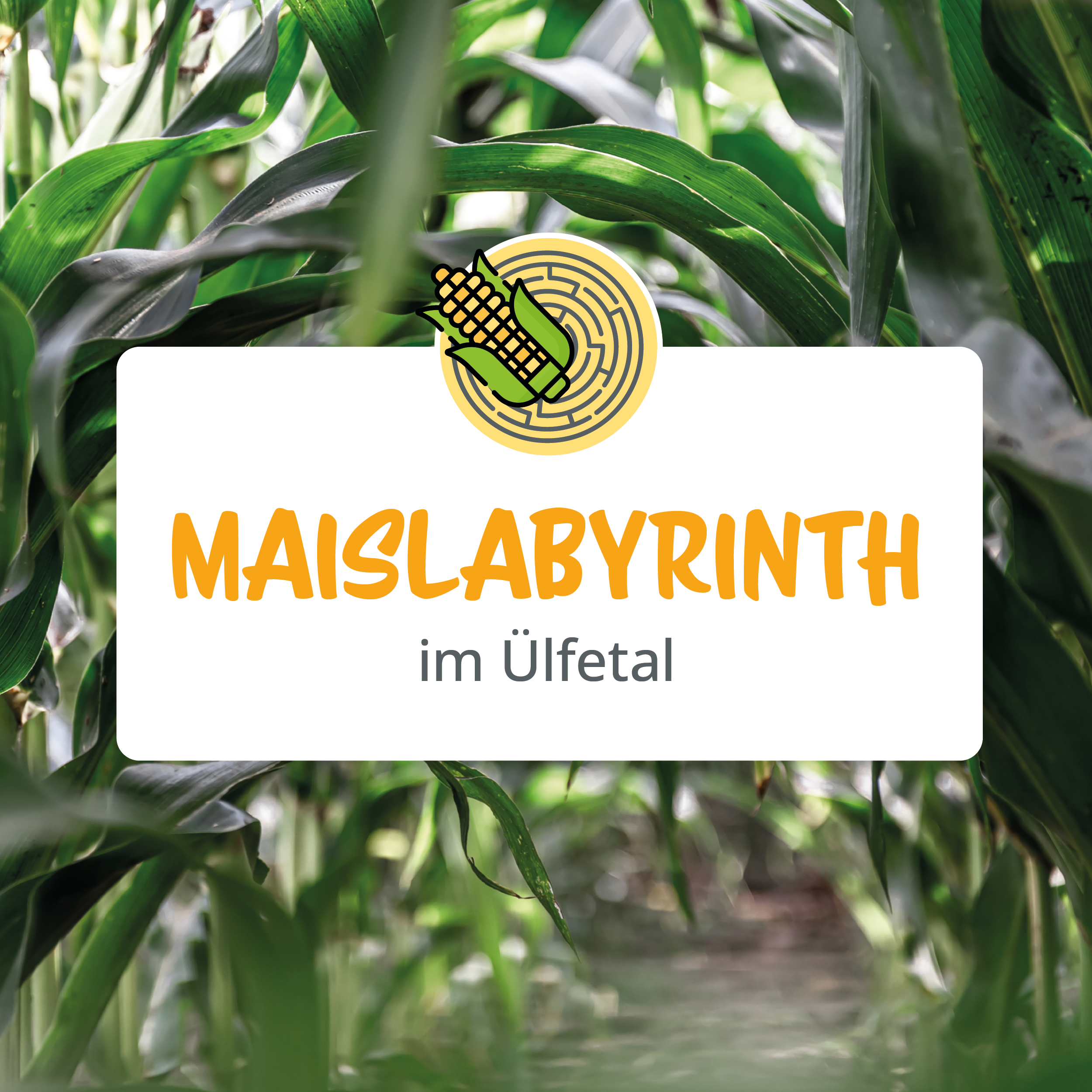 Hofladen-Uelfetal-Maislabyrith-Radevormwald Hofladen Uelfetal Maislabyrith Radevormwald